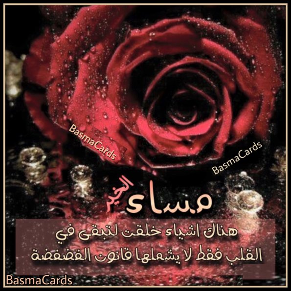 {"source_sid":"1D77AA7B-83CF-4CDD-9808-709A00CCBA1E_1593491094084","subsource":"done_button","uid":"1D77AA7B-83CF-4CDD-9808-709A00CCBA1E_1593491094079","source":"other","origin":"gallery"}