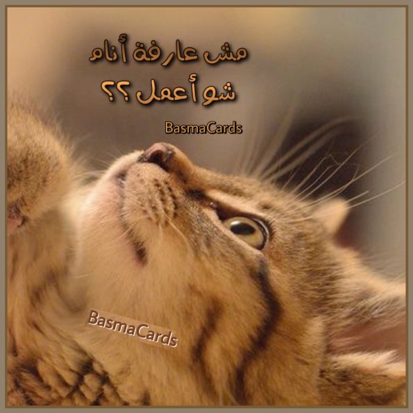 {"source_sid":"1D77AA7B-83CF-4CDD-9808-709A00CCBA1E_1593029217206","subsource":"done_button","uid":"1D77AA7B-83CF-4CDD-9808-709A00CCBA1E_1593029217201","source":"other","origin":"gallery"}