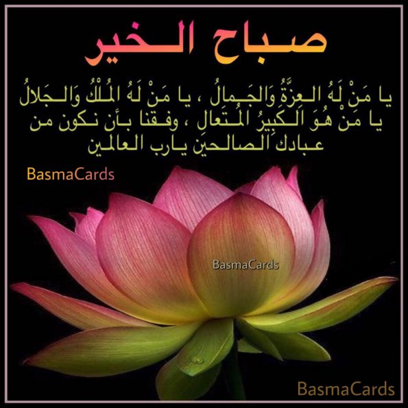 {"source_sid":"1D77AA7B-83CF-4CDD-9808-709A00CCBA1E_1591814121104","subsource":"done_button","uid":"1D77AA7B-83CF-4CDD-9808-709A00CCBA1E_1591814121097","source":"other","origin":"gallery"}