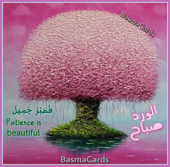 {"subsource":"done_button","uid":"1D77AA7B-83CF-4CDD-9808-709A00CCBA1E_1587959407597","source":"other","origin":"gallery","source_sid":"1D77AA7B-83CF-4CDD-9808-709A00CCBA1E_1591242637984"}