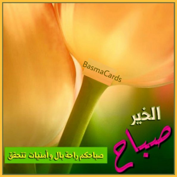 {"subsource":"done_button","uid":"1D77AA7B-83CF-4CDD-9808-709A00CCBA1E_1587003751490","source":"other","origin":"gallery","source_sid":"1D77AA7B-83CF-4CDD-9808-709A00CCBA1E_1591486183959"}